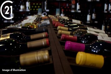 Vente - Cave à vins - Pyrénées-Orientales (66)