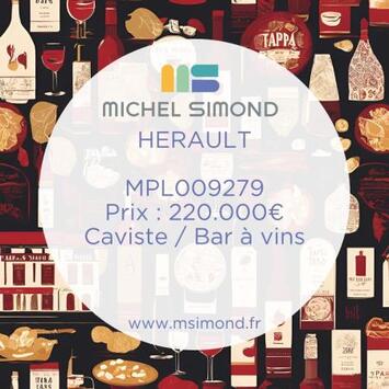 Vente - Bar - Brasserie - Bar à thème - Cave à vins - Vins et spiritueux - Hérault (34)