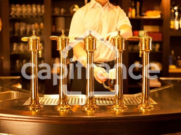 Vente - Brasserie - Restaurant - Pizzeria - Saint-Brieuc (22000)
