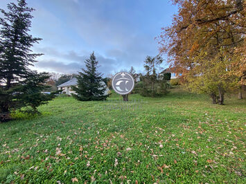 Vente Terrain ZI / ZA - Chouzy-sur-Cisse (41150)