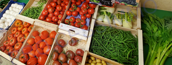 Vente - Alimentation - Epicerie - Fruits et légumes - Gard (30)