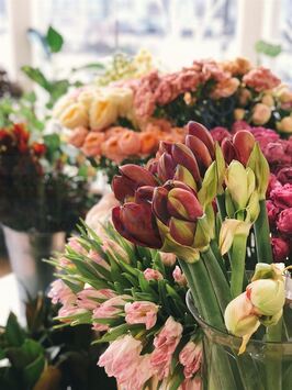 Vente - Fleuriste - Var (83)-photo-2