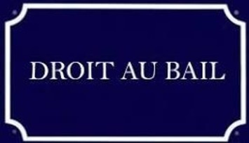 Vente - Habillement - Royan (17200)