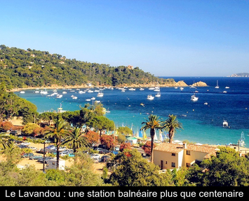 Vente - Restaurant - Le Lavandou (83980)