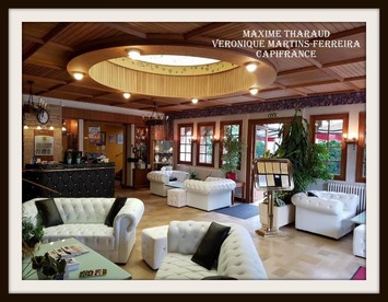 Vente - Bar - Hôtel - Restaurant - Cheverny (41700)