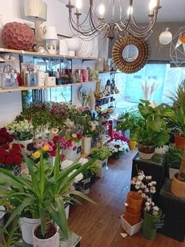 Vente - Fleuriste - Manche (50)-photo-2