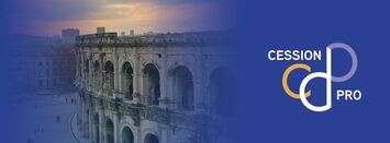 Location Local Commercial - Arles (13200)-photo-4