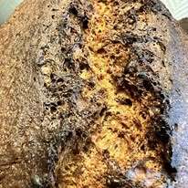 Vente - Boulangerie - Gironde (33)-photo-2