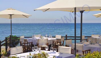 Vente - Brasserie - Vendée (85)-photo-3