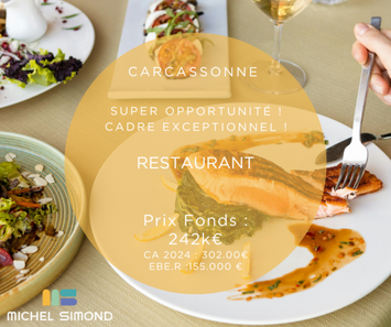 Vente - Restaurant - Aude (11)-photo-1