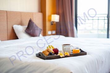 Vente - Bar - Hôtel - Restaurant - Alpes-Maritimes (06)-photo-2