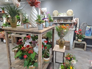 Vente - Décoration - Fleuriste - Haute-Saône (70)