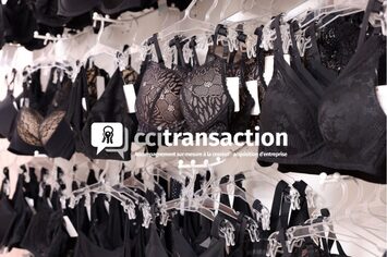 Vente - Lingerie - Eure (27)