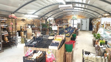 Vente - Jardinerie - Draguignan (83300)