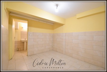Location Local Commercial - Sainte luce (97228)-photo-4
