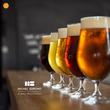 Vente - Bar - Brasserie - Bar à thème - Licence III - Alpes-Maritimes (06)