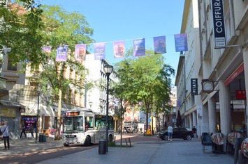 Vente de murs de boutique - Haut-Rhin (68)