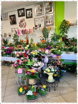 Vente - Cadeaux souvenirs - Fleuriste - Mehun-sur-Yèvre (18500)