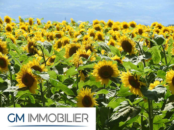 Vente Terrain ZI / ZA - Narrosse (40180)