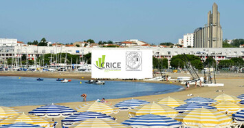 Location Local Commercial - Royan (17200)-photo-3