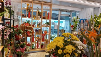 Vente - Fleuriste - Paray-le-Monial (71600)-photo-2