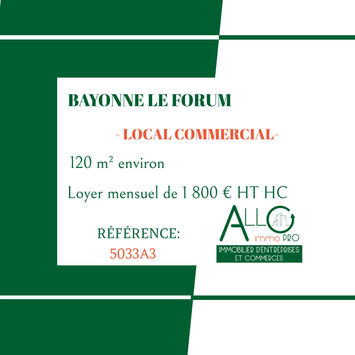 Location Local Commercial - Bayonne (64100)-photo-2