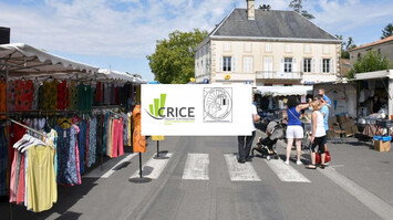 Location Local Commercial - Cozes (17120)-photo-3