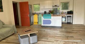 Vente - Hôtel - Gîte - Guadeloupe (971)-photo-2