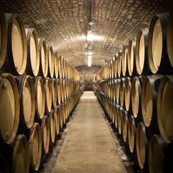 Vente - Bar - Restaurant - Bar à thème - Cave à vins - Vins et spiritueux - Bouches-du-Rhône (13)