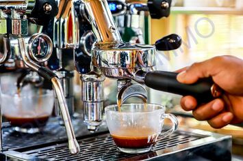 Vente - Brasserie - FDJ - Licence IV - PMU - Gard (30)-photo-2