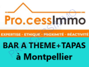 Vente - Bar - Bar à thème - Hérault (34)