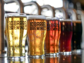 Vente - Bar - Bar à thème - Hérault (34)-photo-2