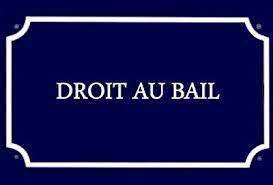 Location Local Commercial - Andernos-les-Bains (33510)