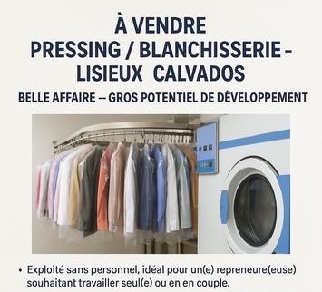 Vente - Pressing - Lisieux (14100)