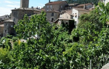 Vente - Hôtel - Restaurant - Ardèche (07)-photo-2