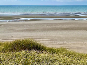 Vente - Alimentation - Superette - Somme (80)-photo-4