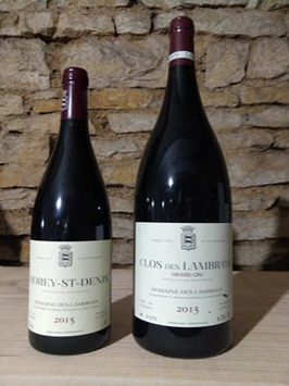 Vente - Cave à vins - Vins et spiritueux - Côte-d'Or (21)-photo-3