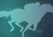 Vente - Bar - FDJ - PMU - Sarthe (72)-photo-3