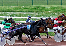 Vente - Bar - Loto - PMU - Presse - Nord (59)-photo-3