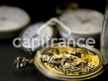 Location Local Commercial - Lyon 4ème (69004)-photo-4