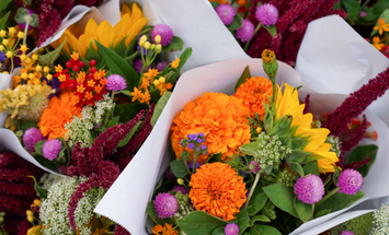 Vente - Fleuriste - Poitiers (86000)