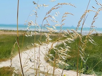 Vente - Bar - Restaurant - Chocolaterie Chocolatier - Cancale (35260)