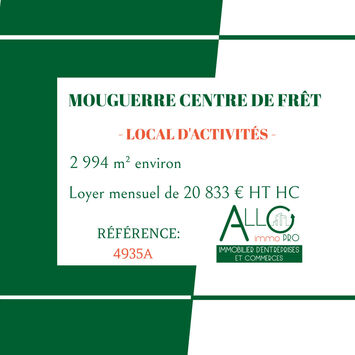 Location Entrepôt / Local d'activités - Mouguerre (64990)-photo-2