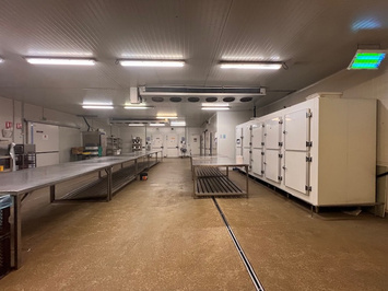 Vente Entrepôt / Local d'activités - Le Haillan (33185)-photo-2