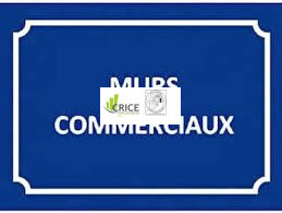 Vente de murs de boutique - Angouleme (16000)