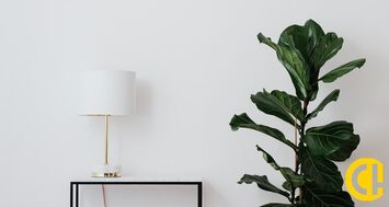 Vente de murs de boutique - Domarin (38300)