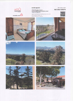 Vente - Bar - Hôtel - Restaurant - Santo-Pietro-di-Tenda (20246)