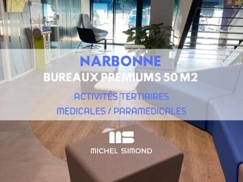 Vente Bureau - Aude (11)