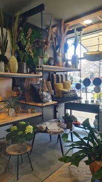 Vente - Décoration - Fleuriste - Jardinerie - Saint-Laurent-des-Arbres (30126)-photo-3