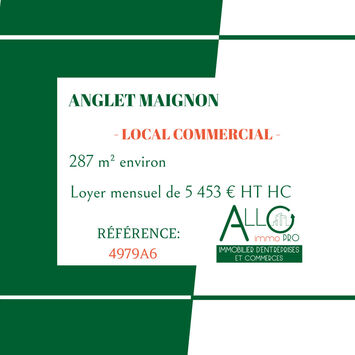 Location Local Commercial - Anglet (64600)-photo-3